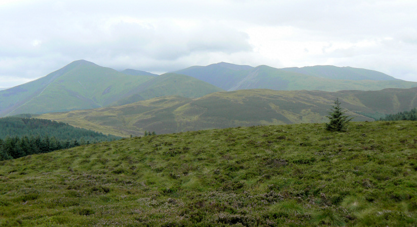 Whinlatter Whinlatter